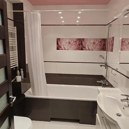 Cozy 2-bedroom Big Lejlighed Klaipėda